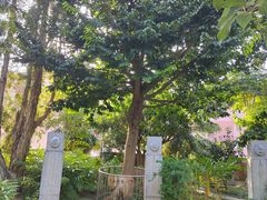 -广州神农草堂中医药博物馆