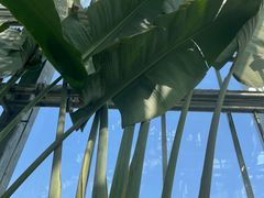 -北京植物园-展览温室