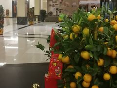 -上海华凯华美达广场酒店