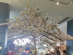 -Seesaw Coffee(深圳万象天地店)
