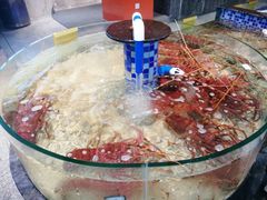 -寻味顺德·珍之宝酒楼(银钻店)