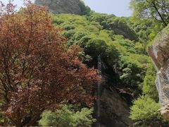 -少华山国家森林公园