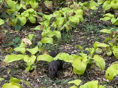 -国家植物园南园