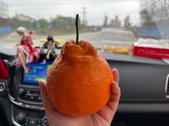 -永洪串串香(湖北大学旗舰店)