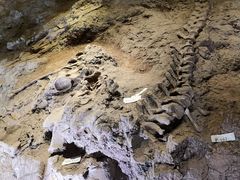 -世界恐龙谷景区