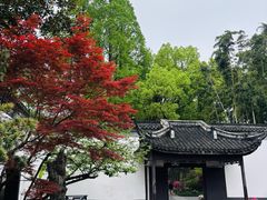 -上海醉白池公园