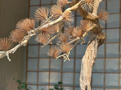 -蜜桃餐厅·伴山(湖滨商业街店)