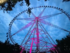 -哈尔滨文化公园