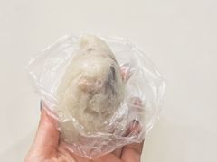 -真真老老(月河花鸟市场店)