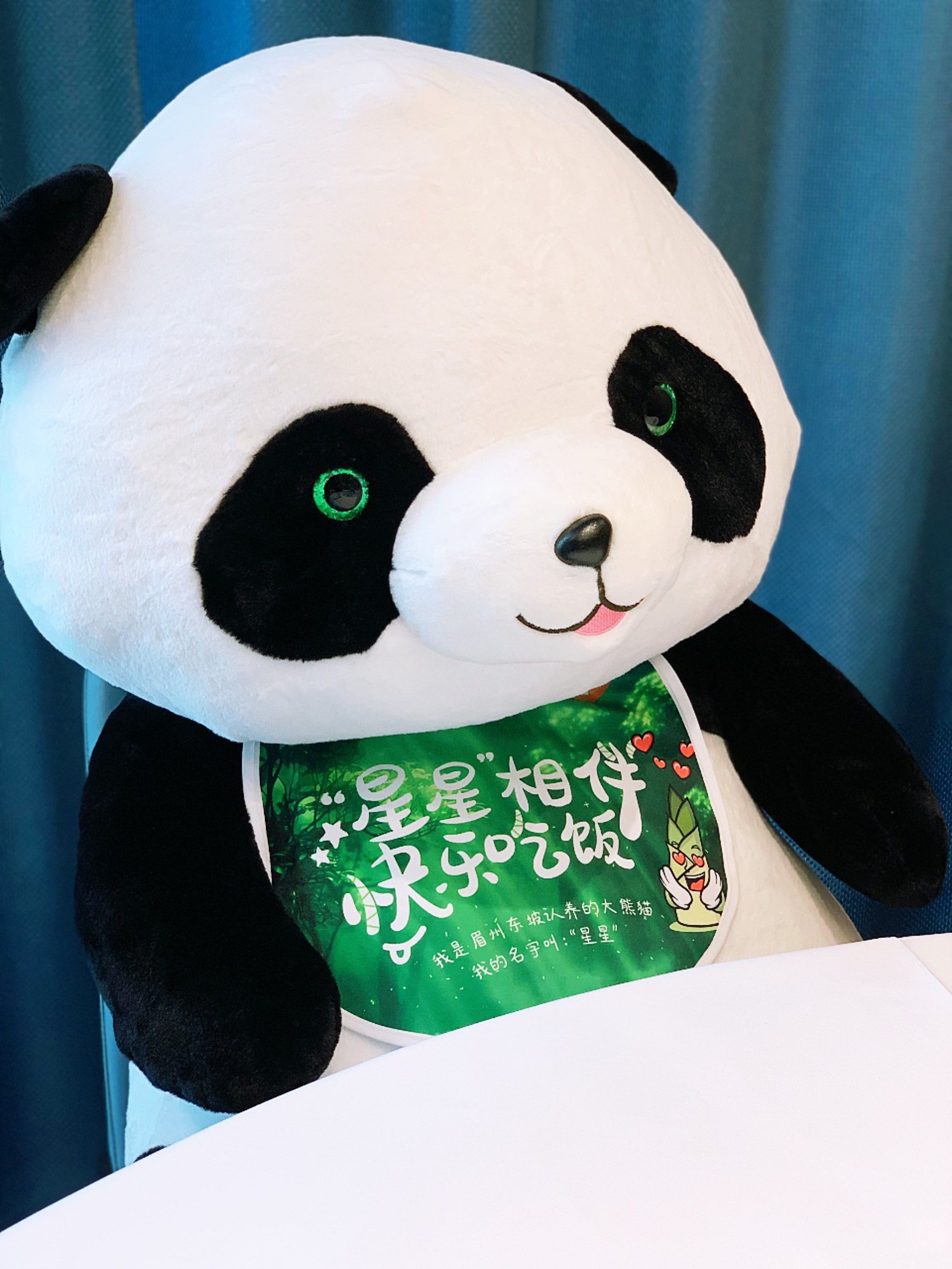 来眉州东坡和熊猫晶晶🐼一起吃竹笋回锅肉啦!