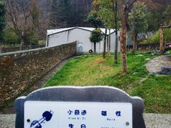 -卧龙中华大熊猫苑神树坪基地