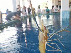 -SHRIMP CLUB万东餐饮钓虾·清吧