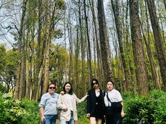 -共青国家森林公园-售票处