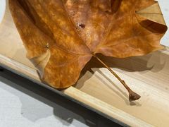 -慈云斋·24节气素食