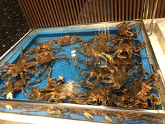 -蟹将军·松叶蟹和牛日料放题自助(K11店)