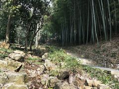 -穹窿山景区