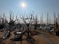 -前小桔亲子创意农场·草莓采摘·露营烧烤