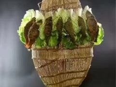 -柳州菜饮食文化博物馆