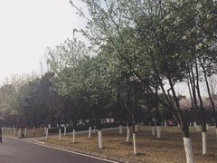 -西南政法大学(渝北校区)
