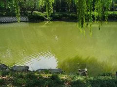 -杭州半山国家森林公园