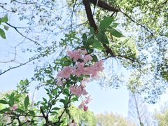 -赭山公园