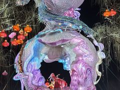-淄博花灯齐彩城
