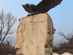 -北京鹫峰国家森林公园
