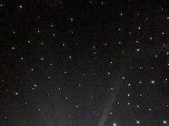 -STARRY CAFE & LOUNGE BAR(高新店)