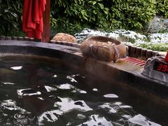 -扬州瘦西湖温泉