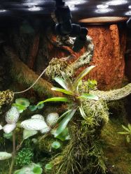 -酷嗒动物文化乐园(cutezoo西溪乐天城店)