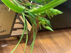 -Rabbit Cafe私房西餐甜点咖啡(栖霞路店)