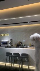 -MuseMarry婚纱(前海嘉里中心店)