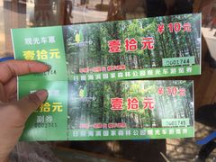 -日照海滨国家森林公园