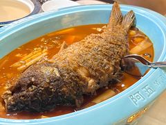 -阿五黄河大鲤鱼(英协路店)