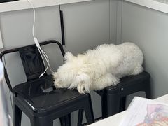 -seeu coffee(江滩店)