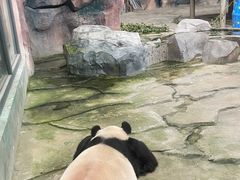 -苏州太湖国家湿地公园