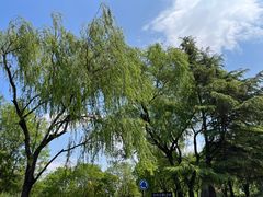 -石家庄市动物园