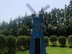 -上海长兴岛郊野公园