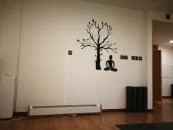 点击看大图 -FineYoga梵音瑜伽·普拉提