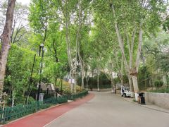 -西安市长乐公园