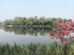 -颐和园