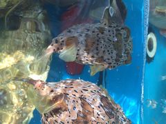 -清水湾3号(东方小周海鲜店)