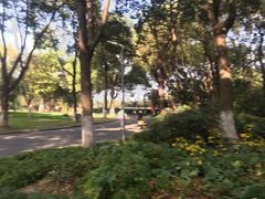 -昆山城市生态森林公园