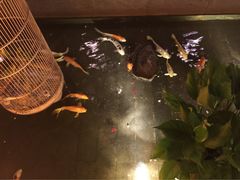 松子日本料理(亮马桥店)-松子料理(亮马桥店)
