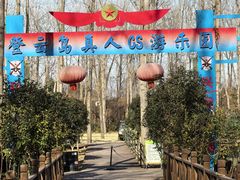 -合肥滨湖国家森林公园