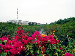 -云溪植物园