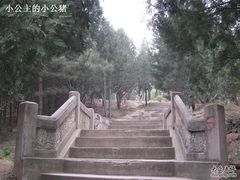 -北京鹫峰国家森林公园