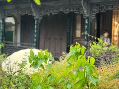 -金庸书院