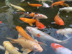 -珠海棕泉水疗酒店(拱北口岸高铁站店)