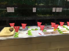 -宝燕壹号(徐汇店)